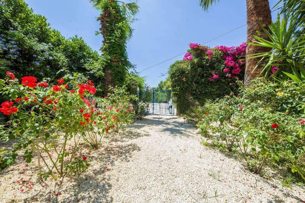 פונטנה ביאנקה Suite House L'Isola Che Non C'E מראה חיצוני תמונה