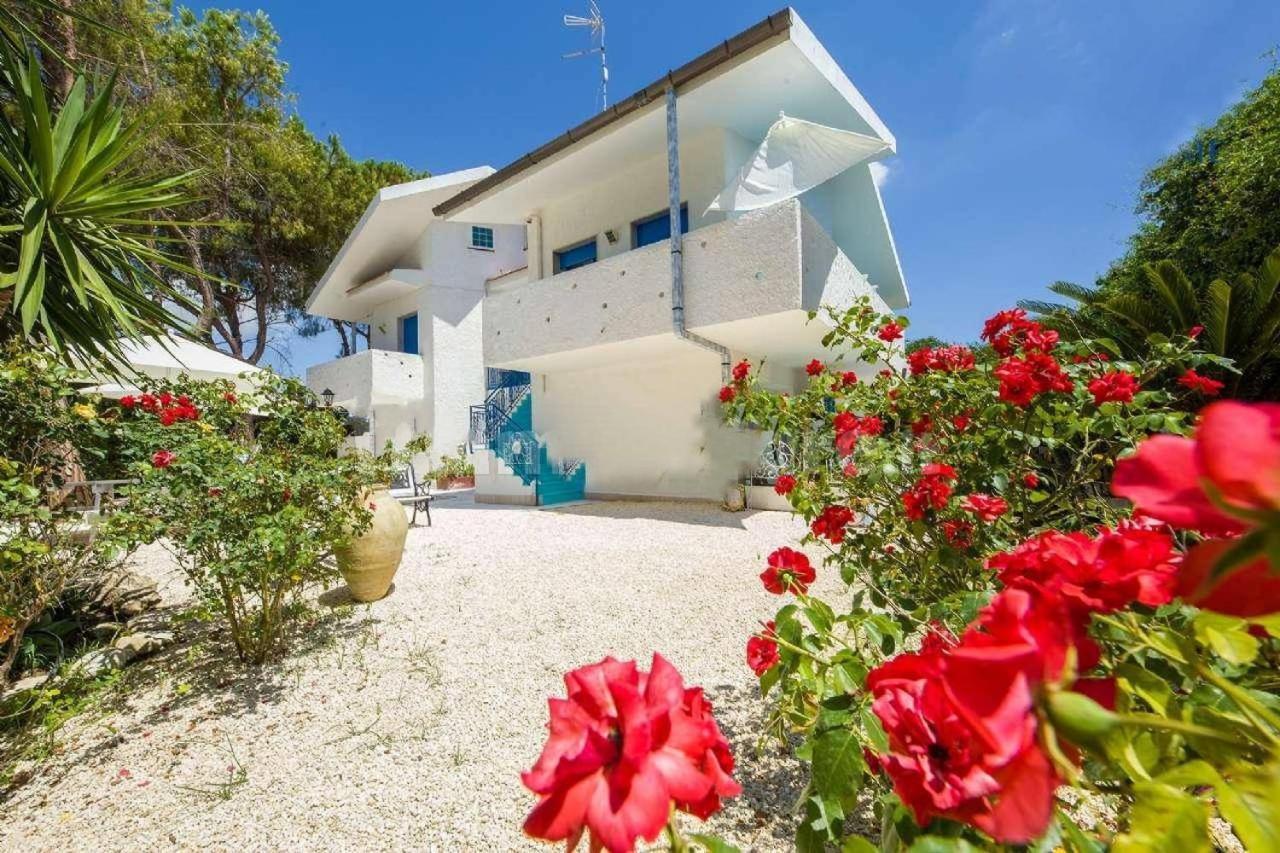 פונטנה ביאנקה Suite House L'Isola Che Non C'E מראה חיצוני תמונה