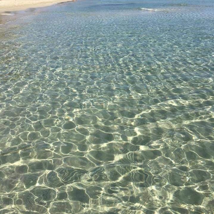 פונטנה ביאנקה Suite House L'Isola Che Non C'E מראה חיצוני תמונה
